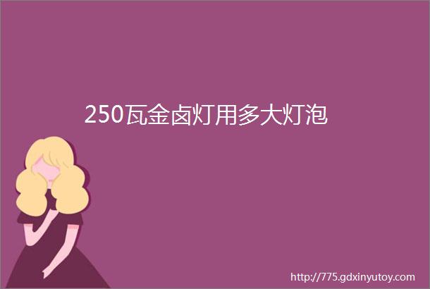 250瓦金卤灯用多大灯泡