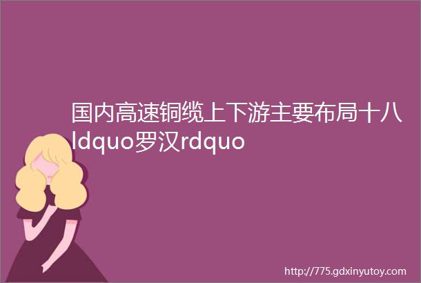 国内高速铜缆上下游主要布局十八ldquo罗汉rdquo