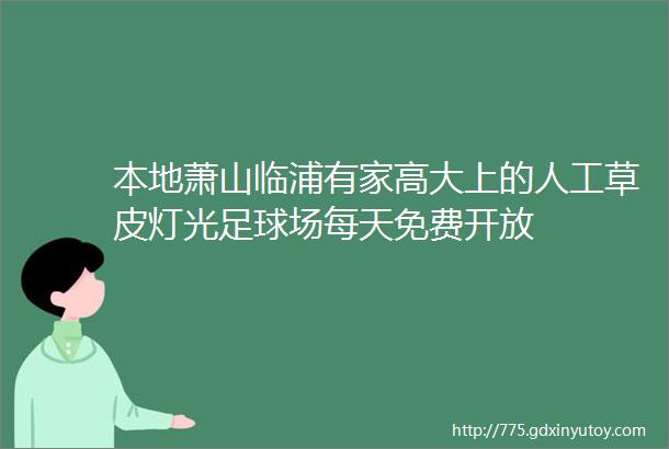 本地萧山临浦有家高大上的人工草皮灯光足球场每天免费开放