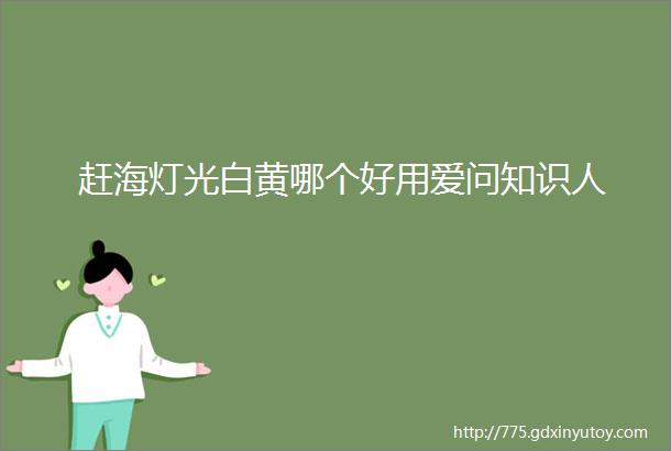 赶海灯光白黄哪个好用爱问知识人