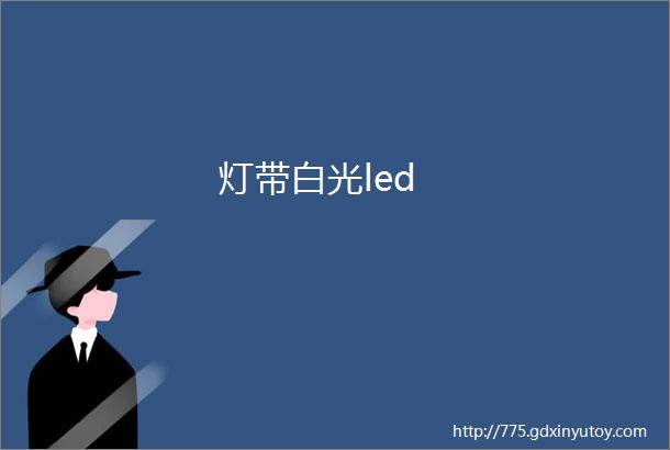 灯带白光led