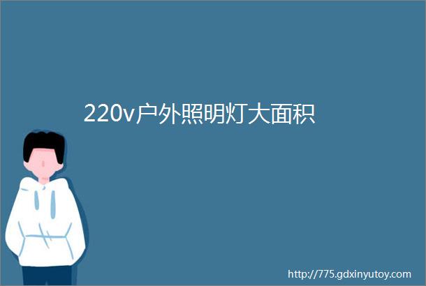 220v户外照明灯大面积