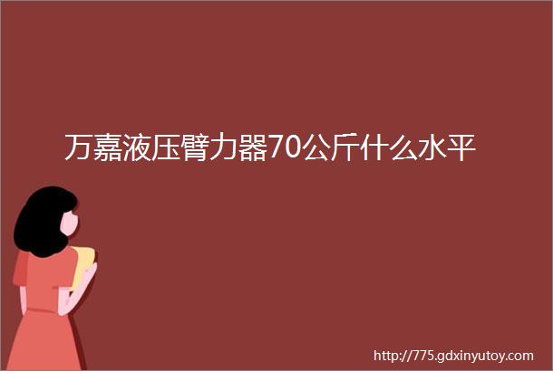 万嘉液压臂力器70公斤什么水平